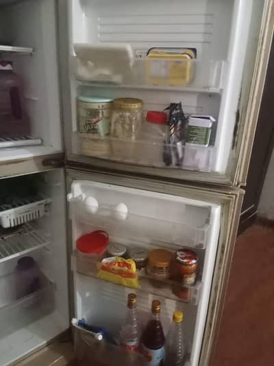 pel fridge