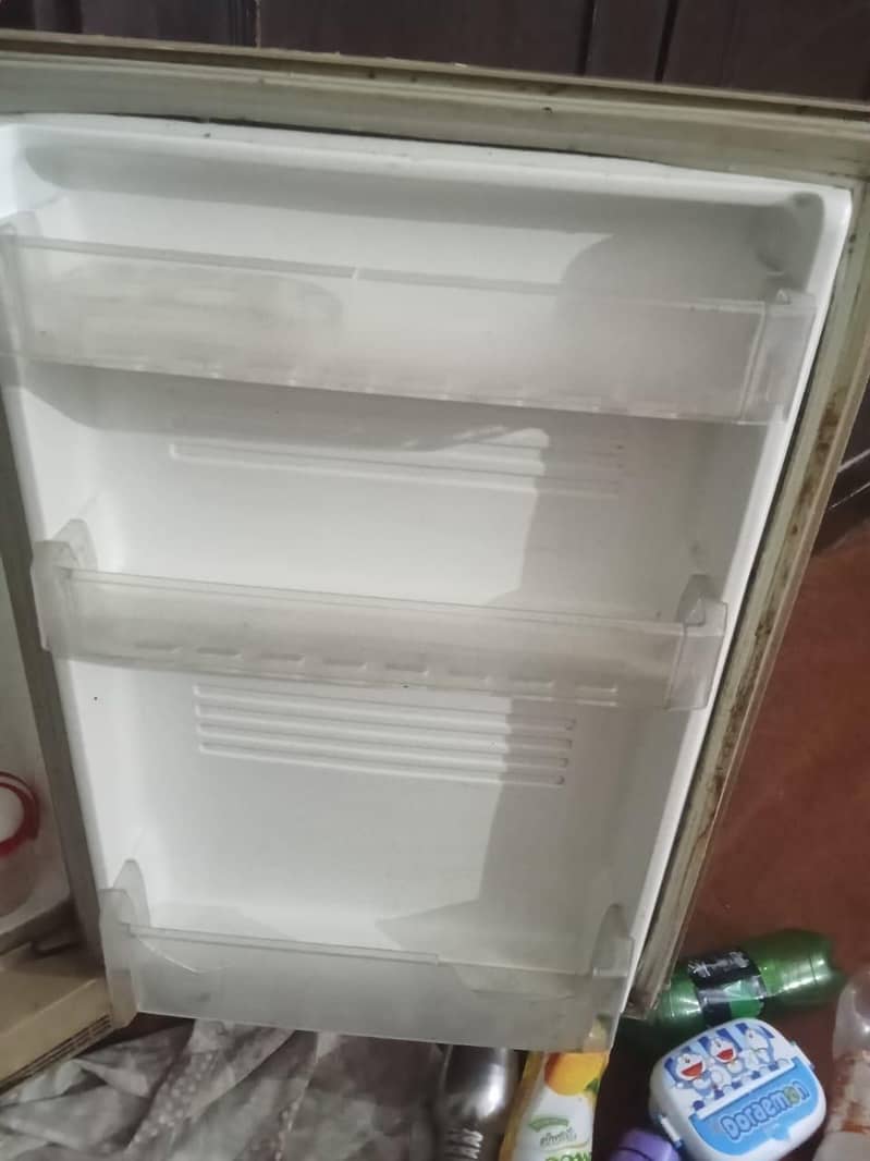 pel fridge 1