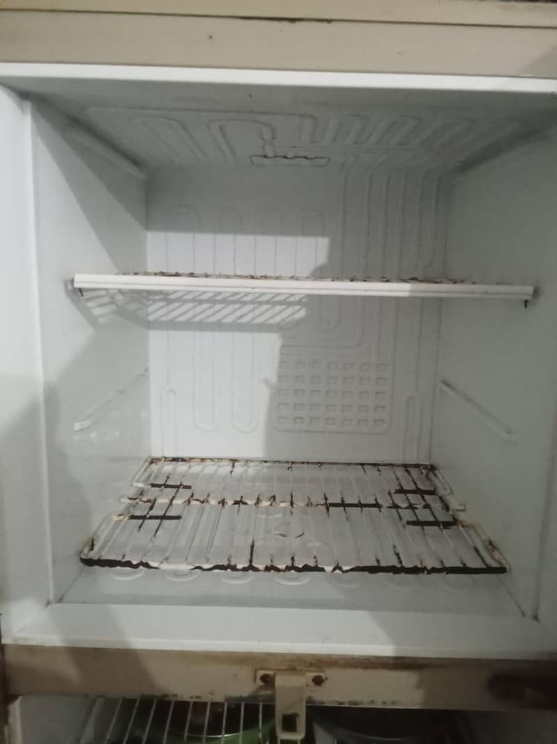 pel fridge 5