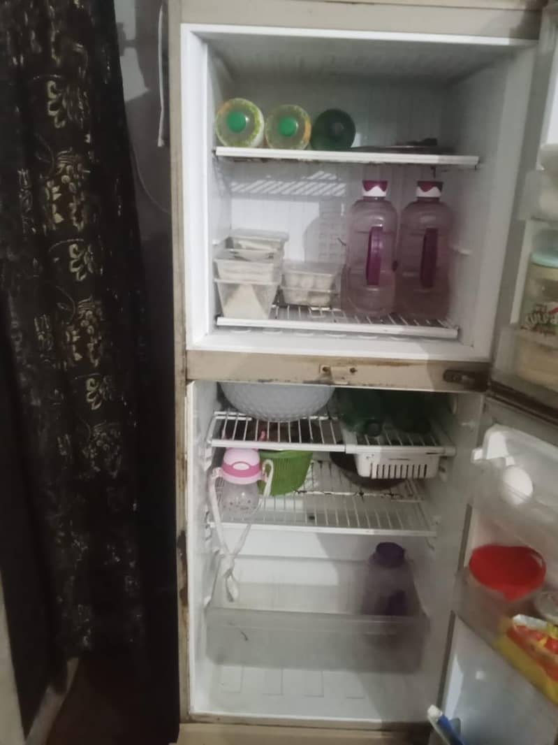 pel fridge 6