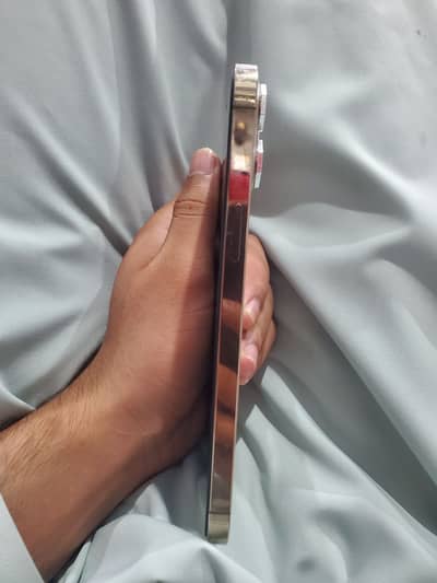 Apple iPhone 12 Pro Max
