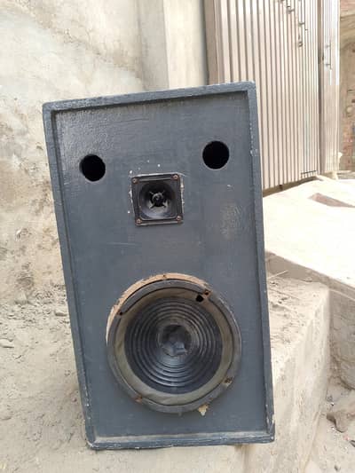 Bluetooth speaker with amplifier