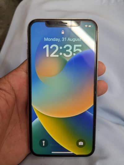 Apple iPhone X