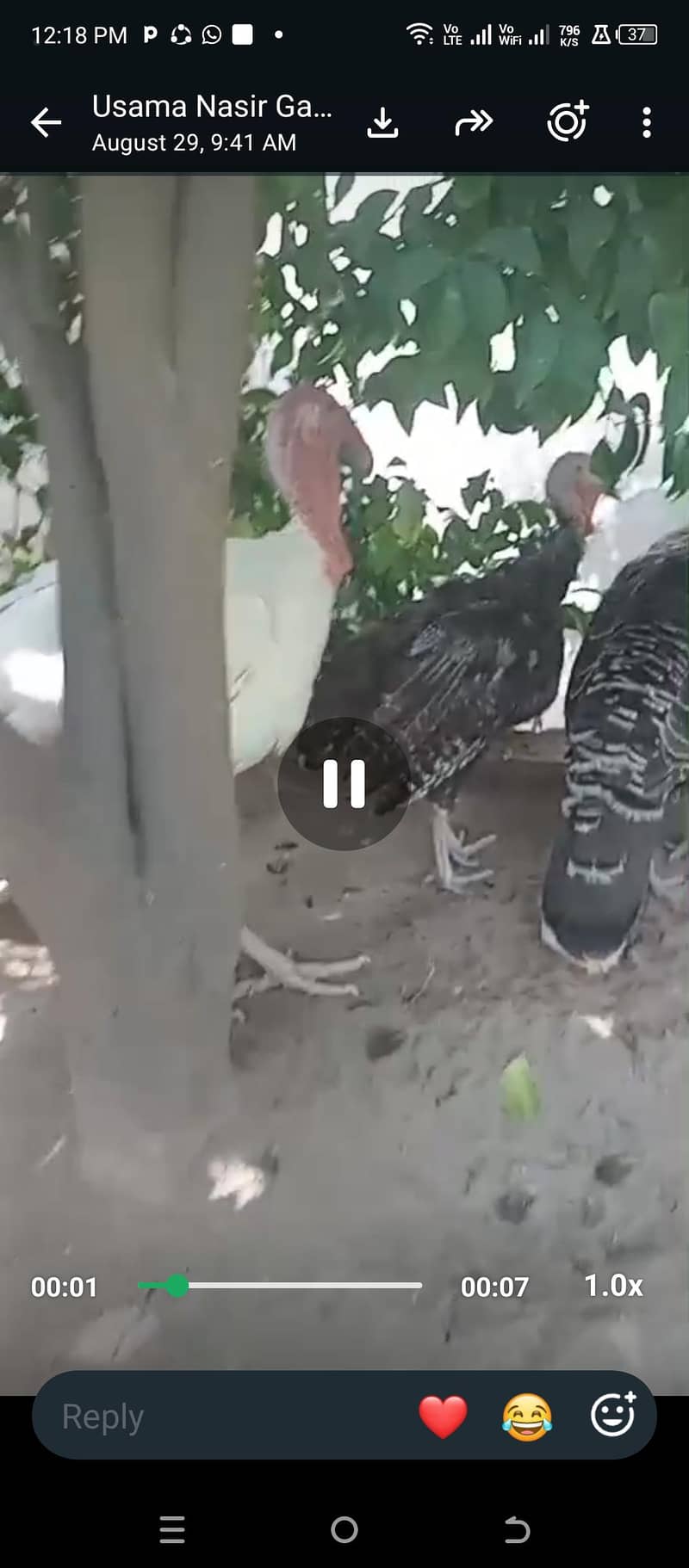 tarki 3