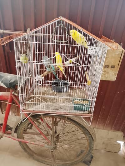 parrot cage