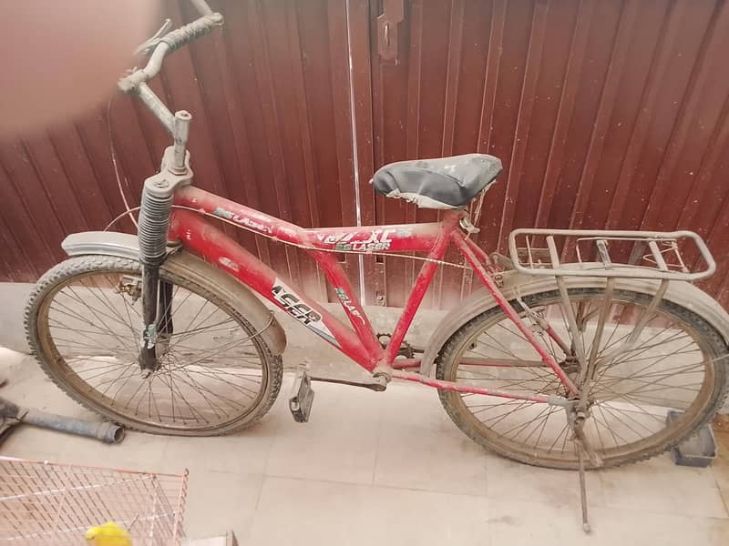 Bick cycle 1