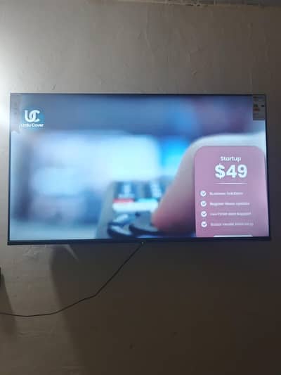 Turk led