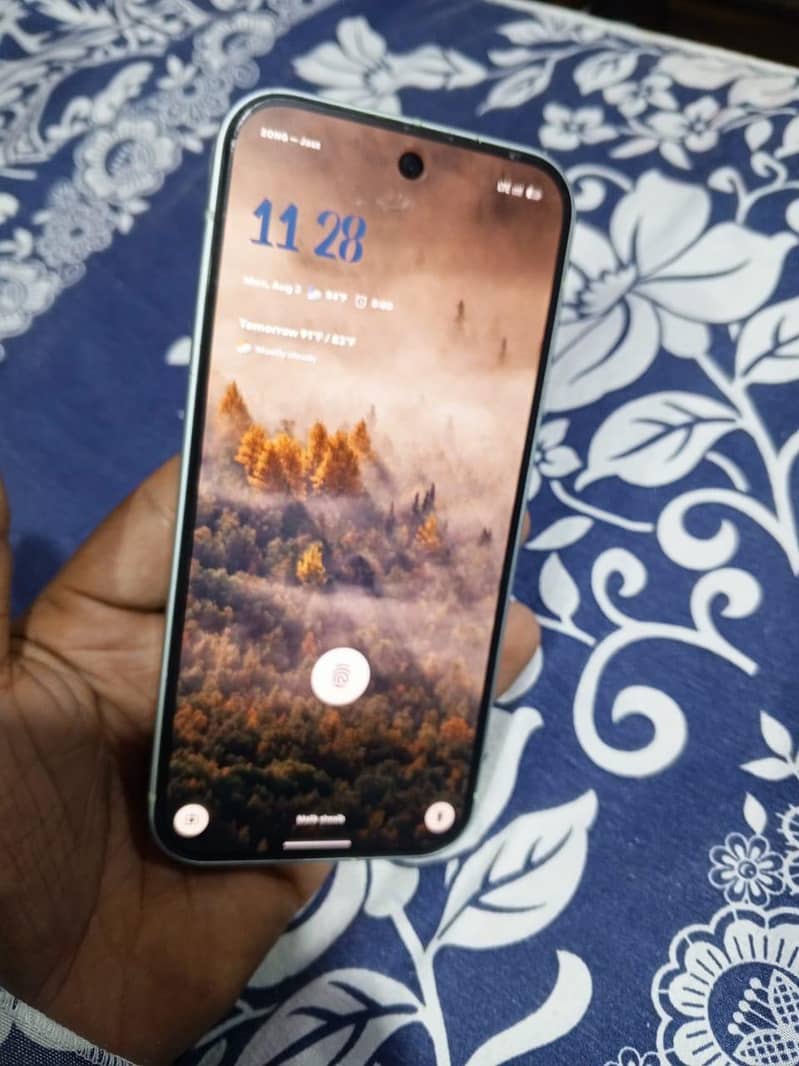 Google Pixel 9 2