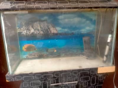 aquarium