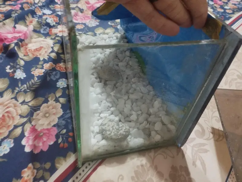 fish box for sale — photo 3