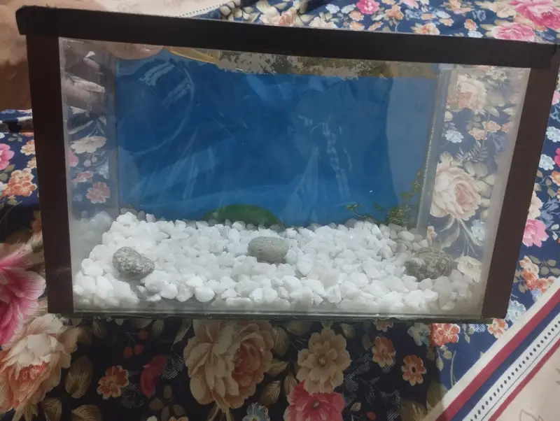 fish box for sale — photo 6