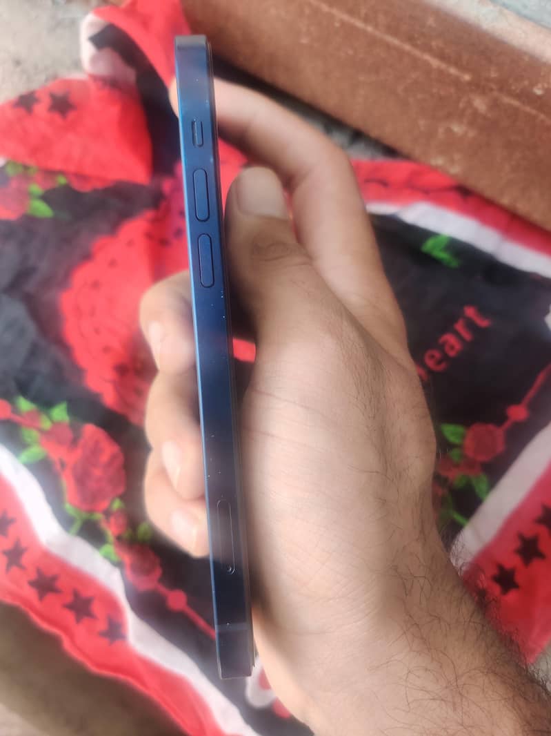Apple iPhone 12 2