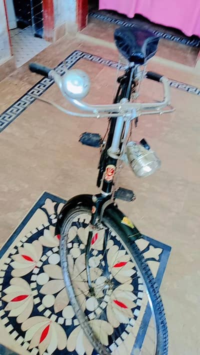china cycle phoenix for sale call and WhatsApp 0370-3660453