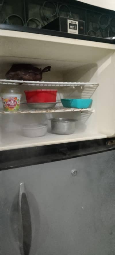 Hair refrigerator