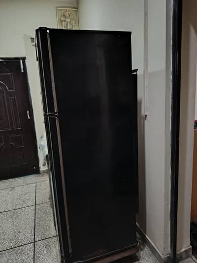 PEL Refrigerator for sale (PRD155)