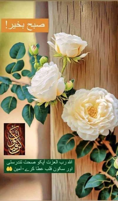 bukhari