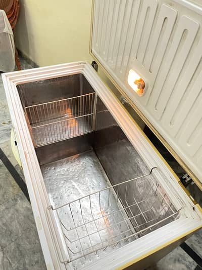 Deep Freezer  Full Size 03248468747