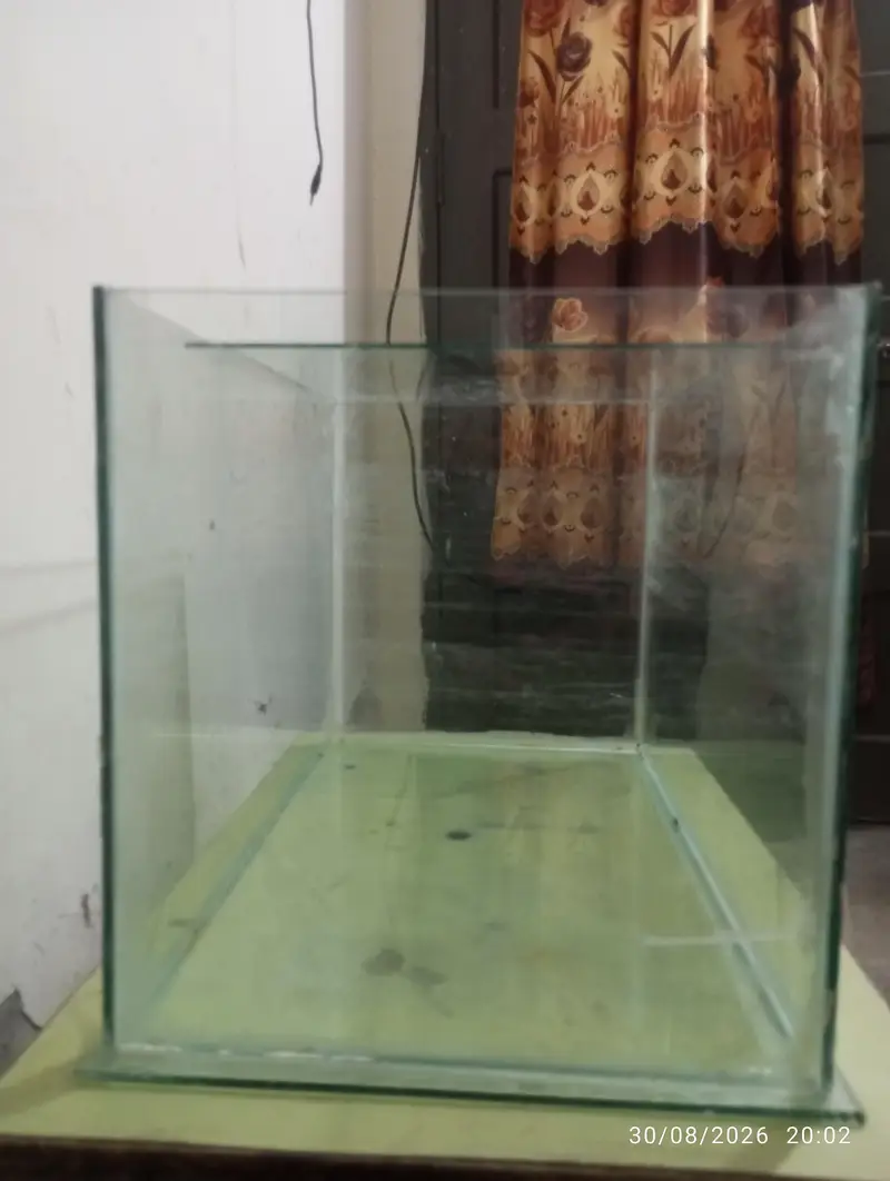 Glass Fish Aquarium Tank - 19.5" L x 12" H x 11.5" W — photo 3