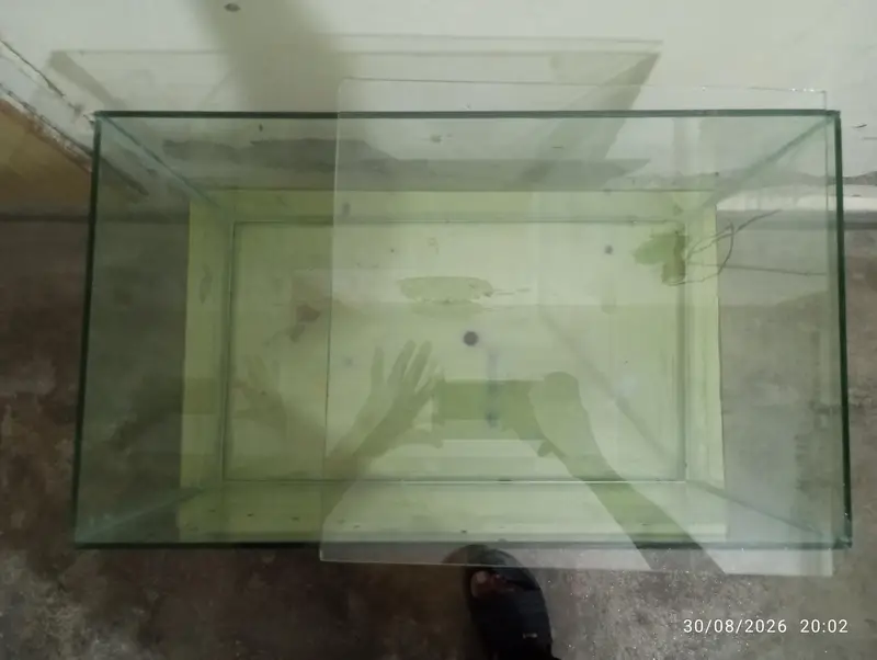 Glass Fish Aquarium Tank - 19.5" L x 12" H x 11.5" W — photo 4
