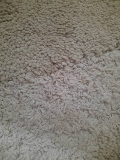 Turkish Rug Bid Sie (8ft × 5ft)