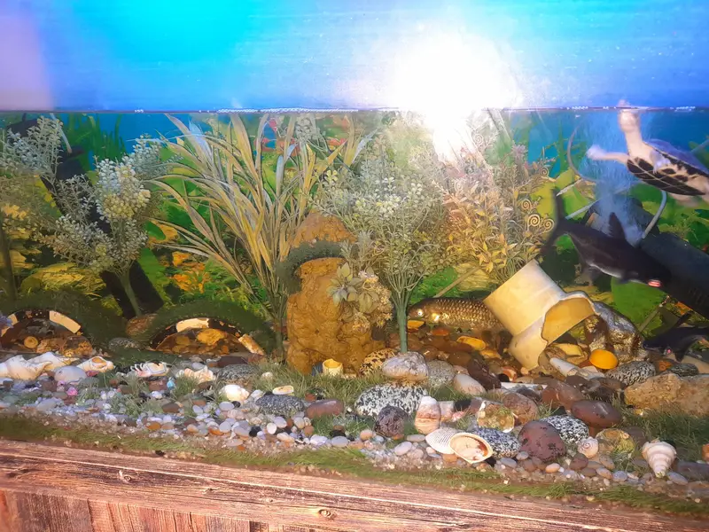 4 feet fish aquarium with stand — photo 3