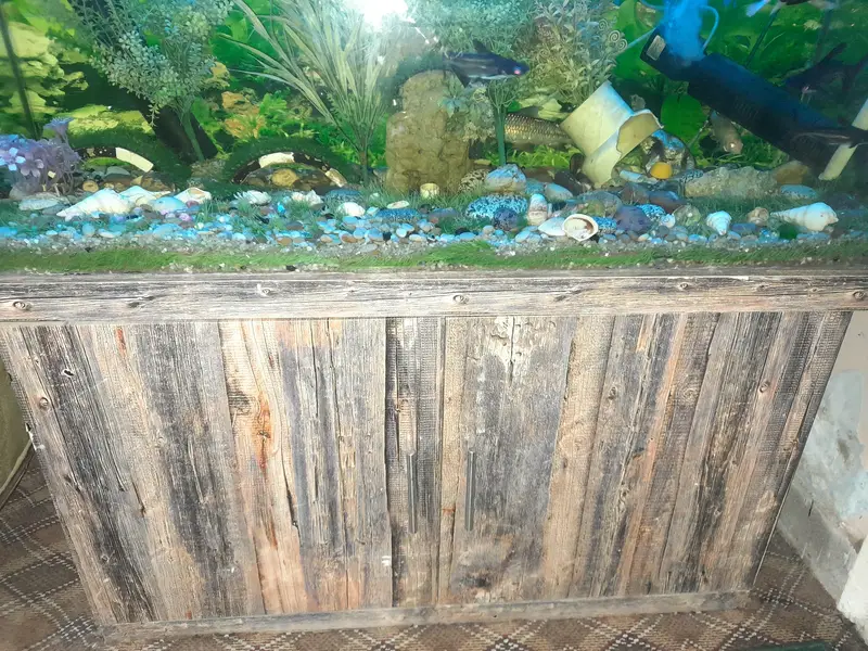 4 feet fish aquarium with stand — photo 6