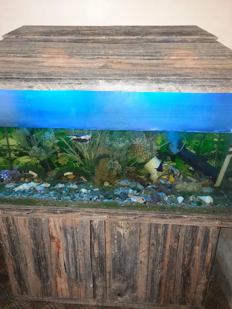 4 feet fish aquarium with stand — photo 7