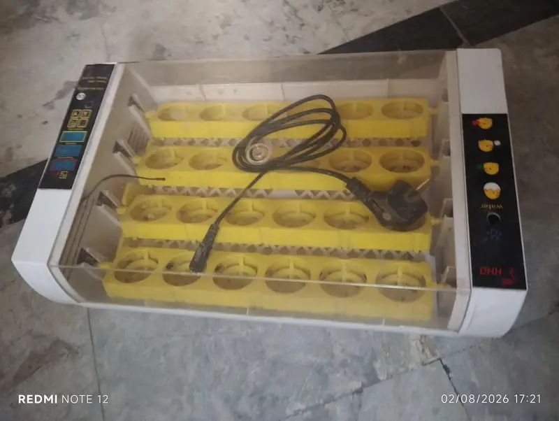 24 Eggs incubator excellent condition — photo 2