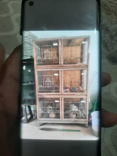 cages