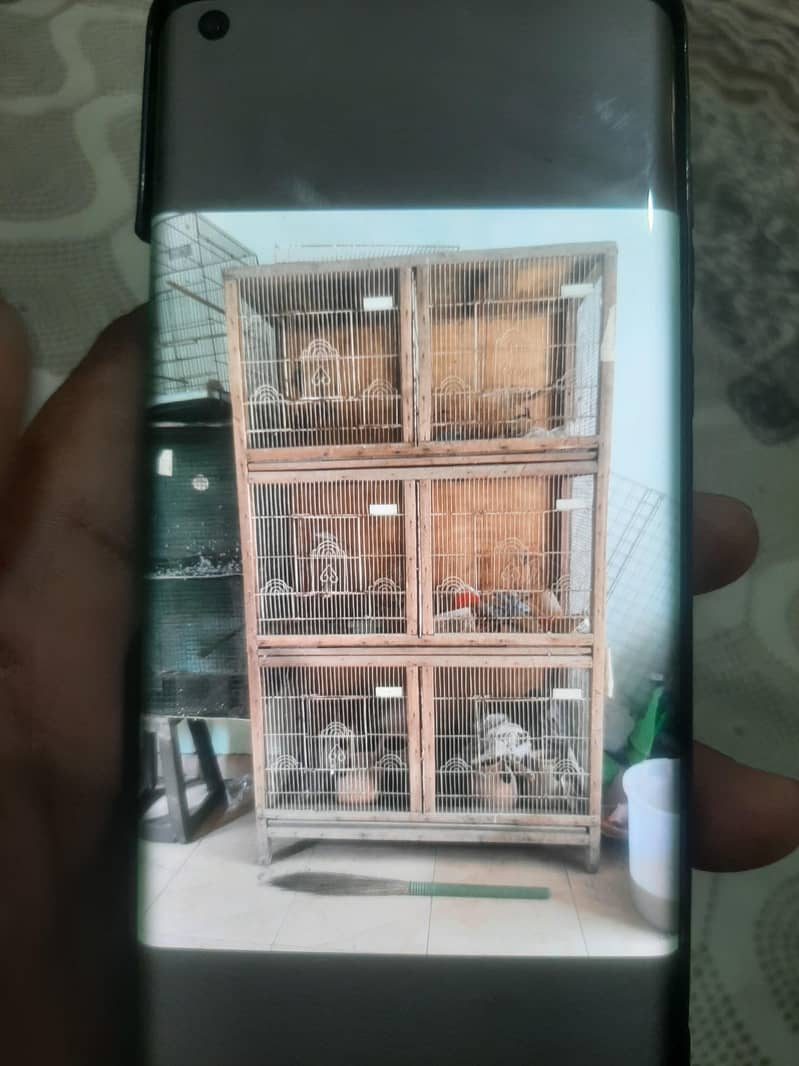 cages 0