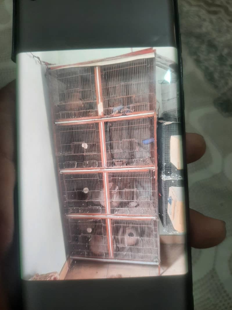 cages 1