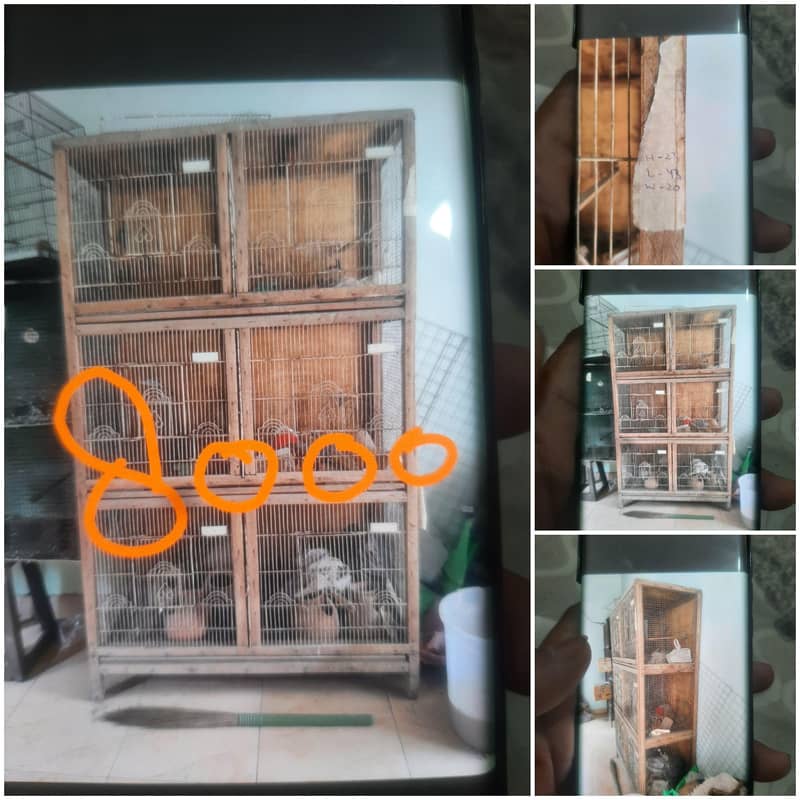 cages 3