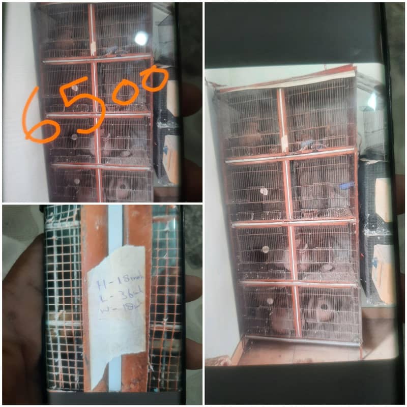 cages 4