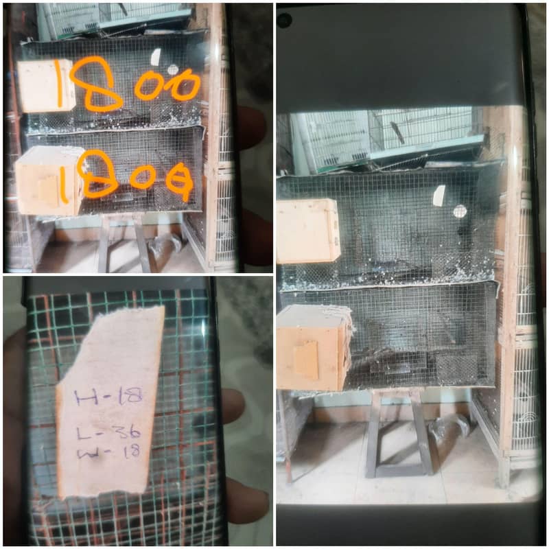 cages 5