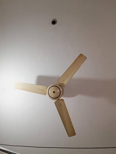 celling fan