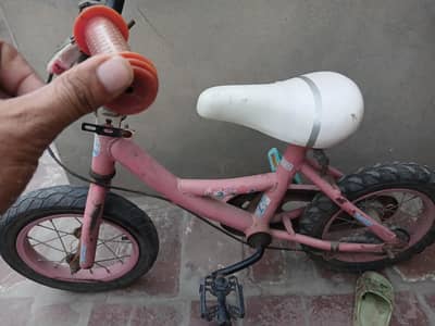 Pink Cycle in 3500