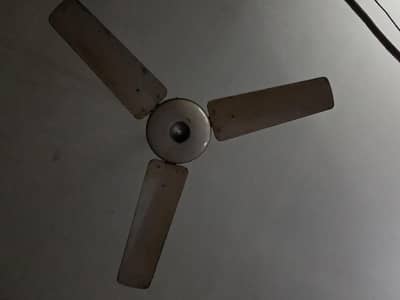 celling fan
