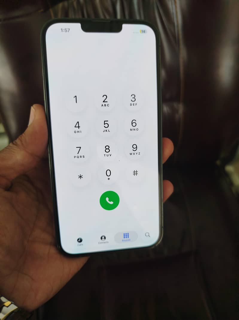 Apple iPhone 13 Pro Max 1