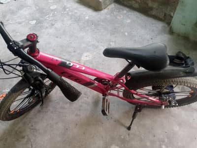 CCG CYCLE WITH 10 GEAR