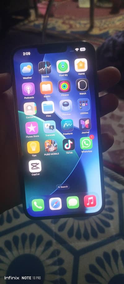 Apple iPhone 13 Pro Max