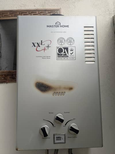Haster Home Geyser