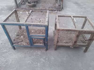 wooden cage 1000 k dono