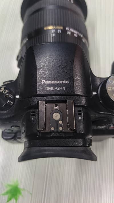 Lumix Panasonic DMC-GH4 with Sigma 17-50 lans