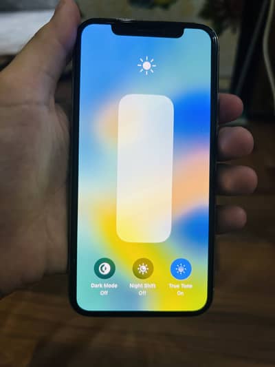 Apple iPhone X