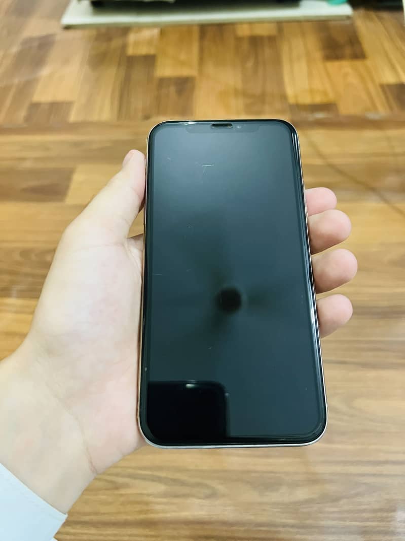 Apple iPhone X 1