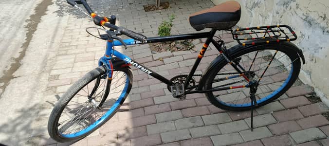 phoenix cycle