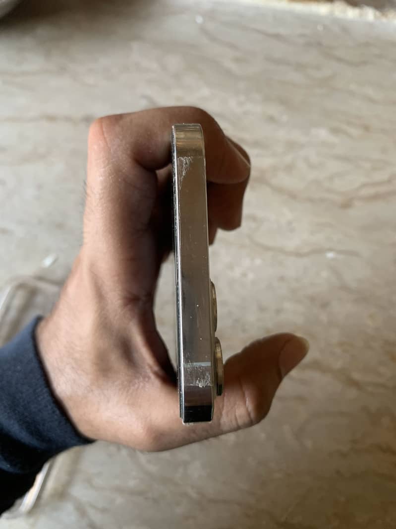 Apple iPhone 12 Pro Max 1