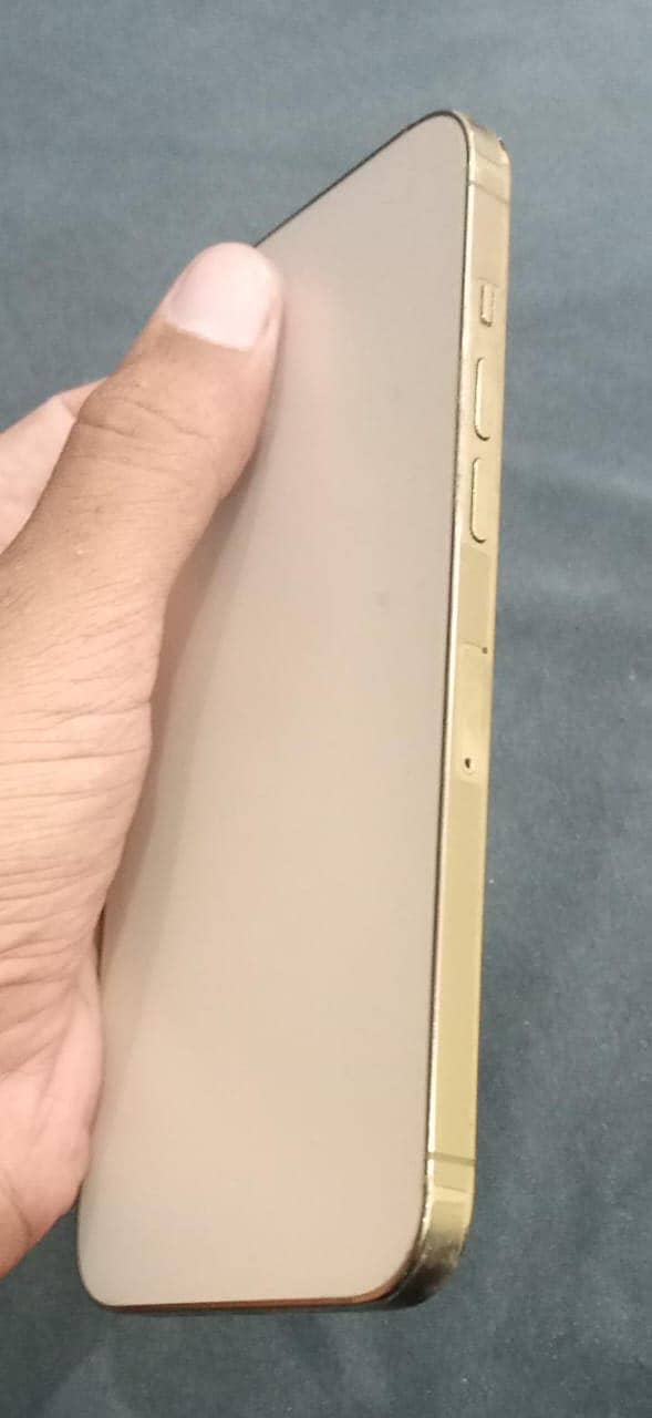 Apple iPhone 12 Pro Max 0