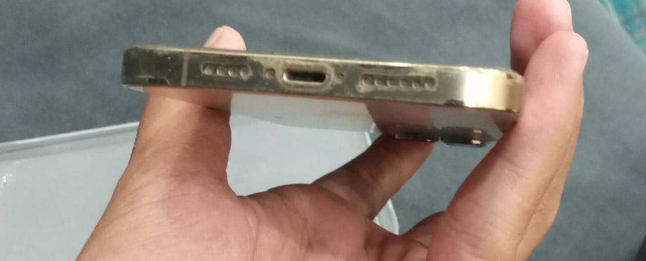 Apple iPhone 12 Pro Max 1