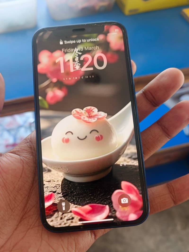 Apple iPhone 12 mini 3